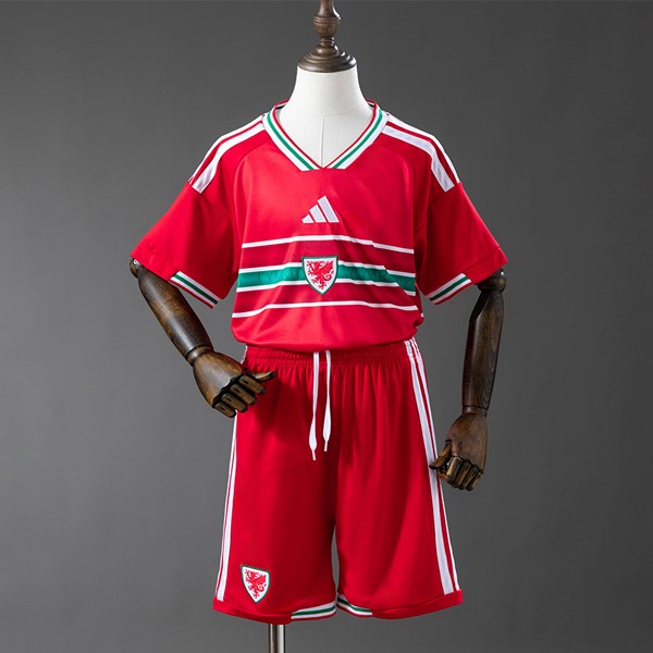 Camiseta Gales Primera Niño 2026 Camiseta Gales Primera Niño 2026